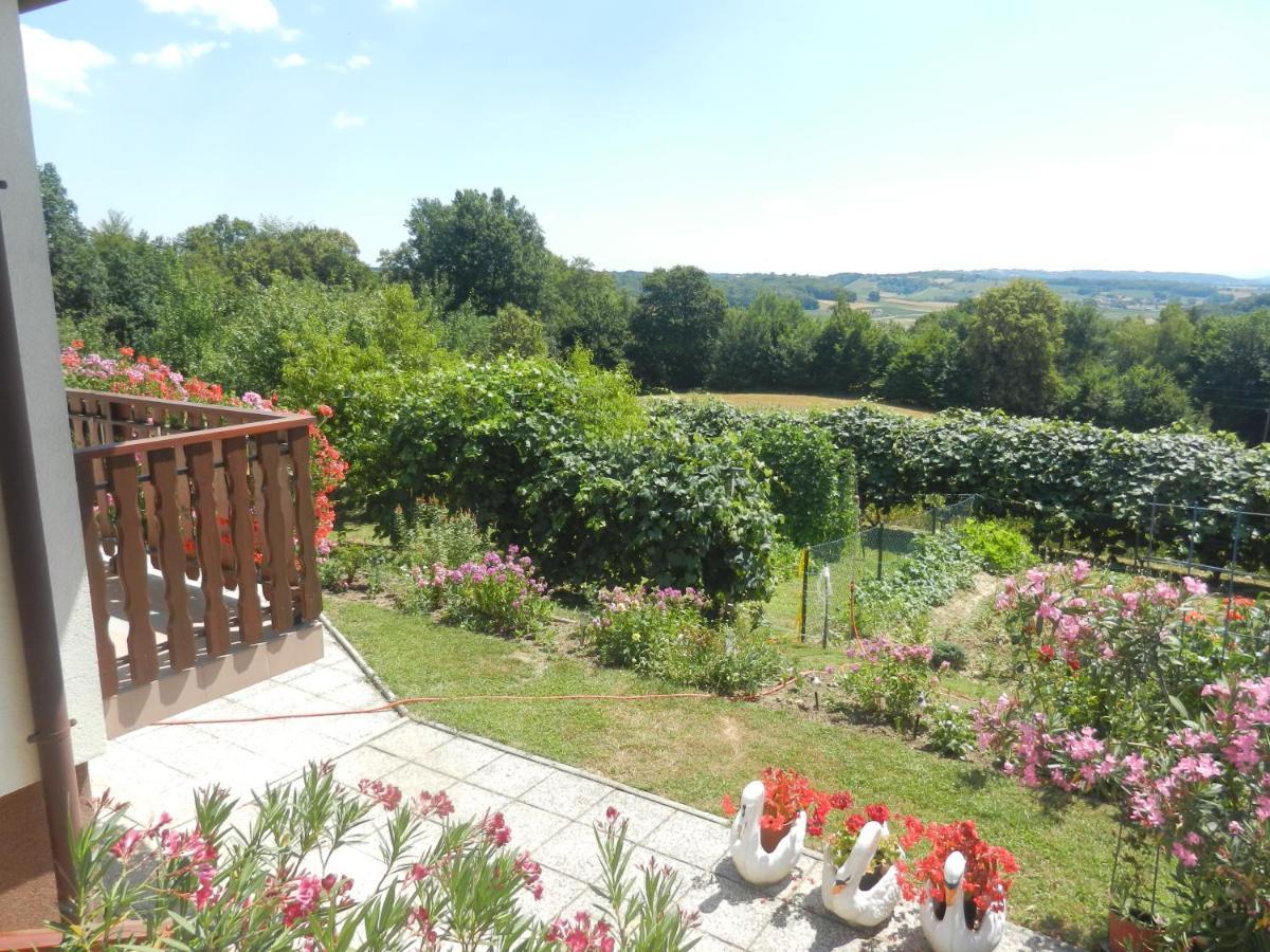 Urlaub Fuer Die Seele - Erholung Pur In Der Natur - Ferienhaus Mit Infrarotkabine & Relax-Raum Rucmanci Exterior photo