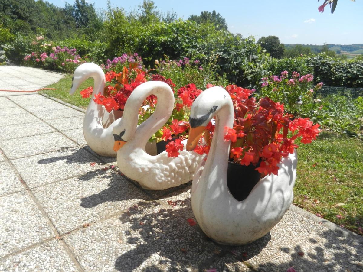 Urlaub Fuer Die Seele - Erholung Pur In Der Natur - Ferienhaus Mit Infrarotkabine & Relax-Raum Rucmanci Exterior photo